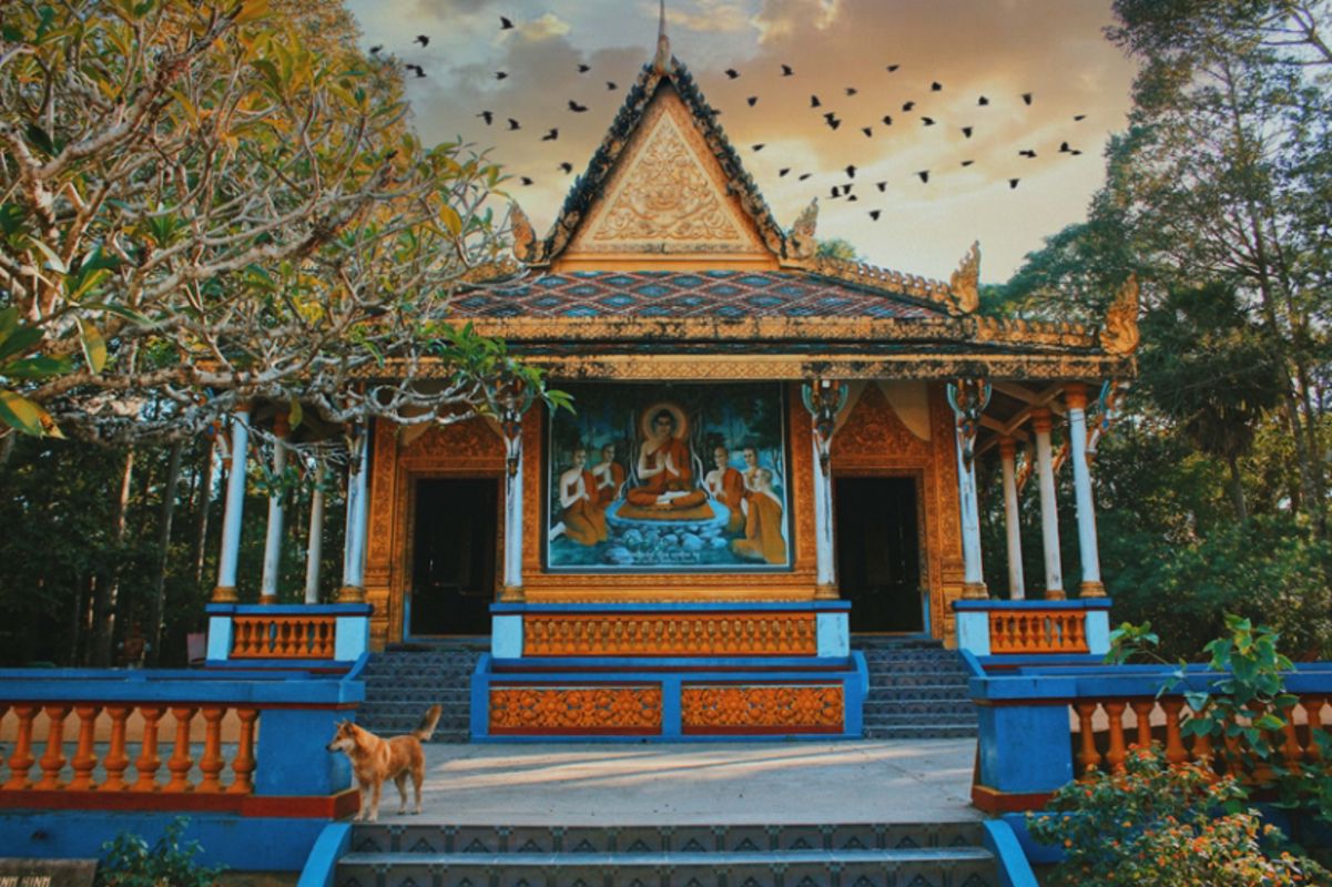 Capture the serene beauty of Soc Trang’s eco-haven