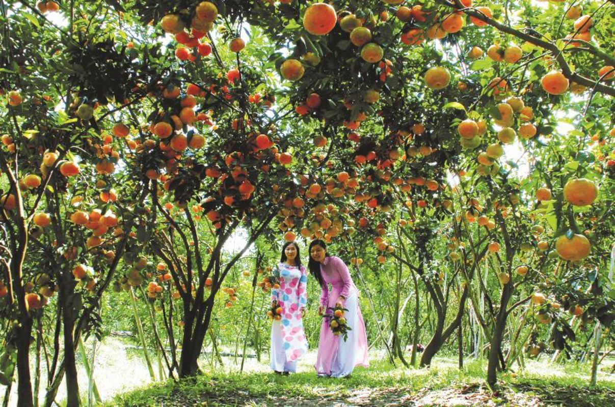 Best months to visit Tien Giang