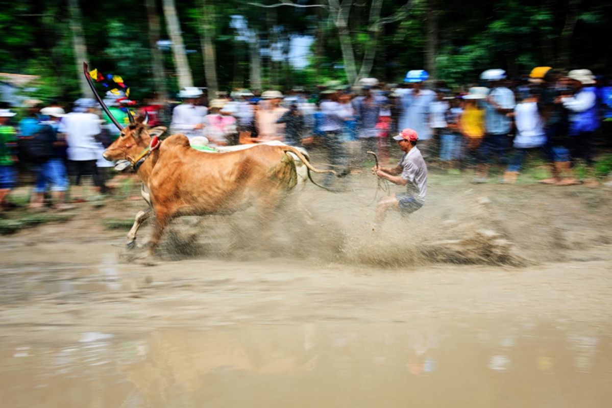 Learn An Giang’s heritage with expert insights