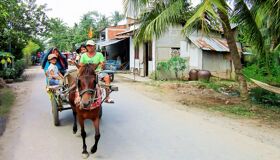 Capture the serene beauty of Ben Tre’s waterways