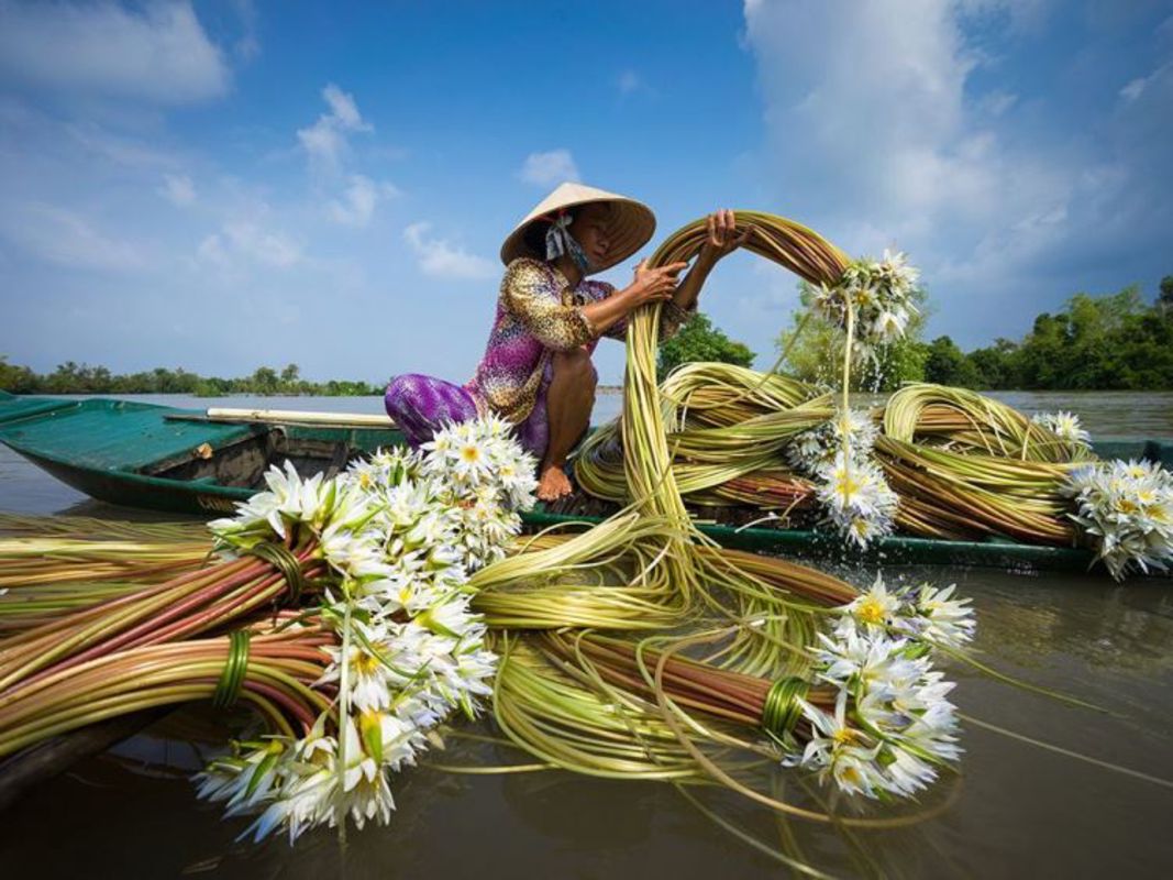 Dive into the verdant charm of Vinh Long Travel
