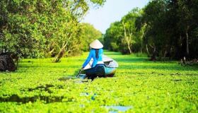 Dive into the historical charm of Dong Thap Travel