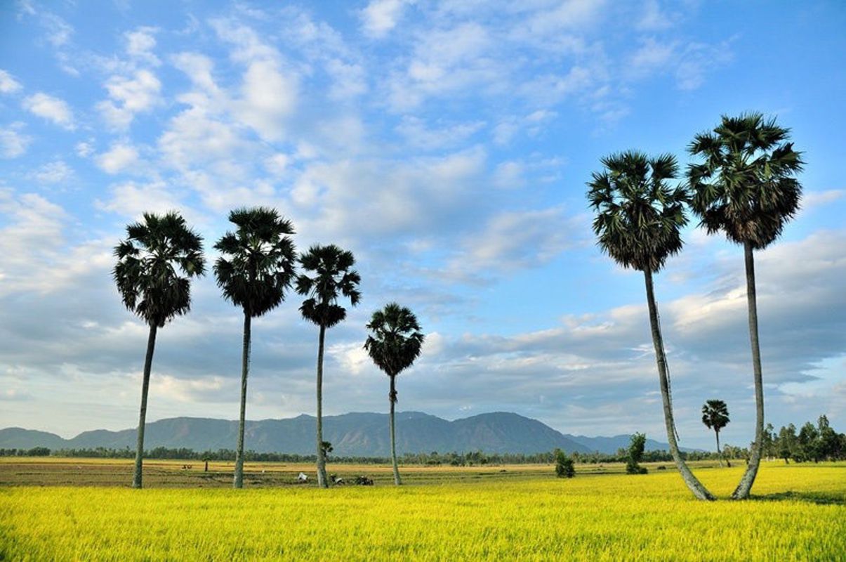 Dive into the serene charm of An Giang Travel