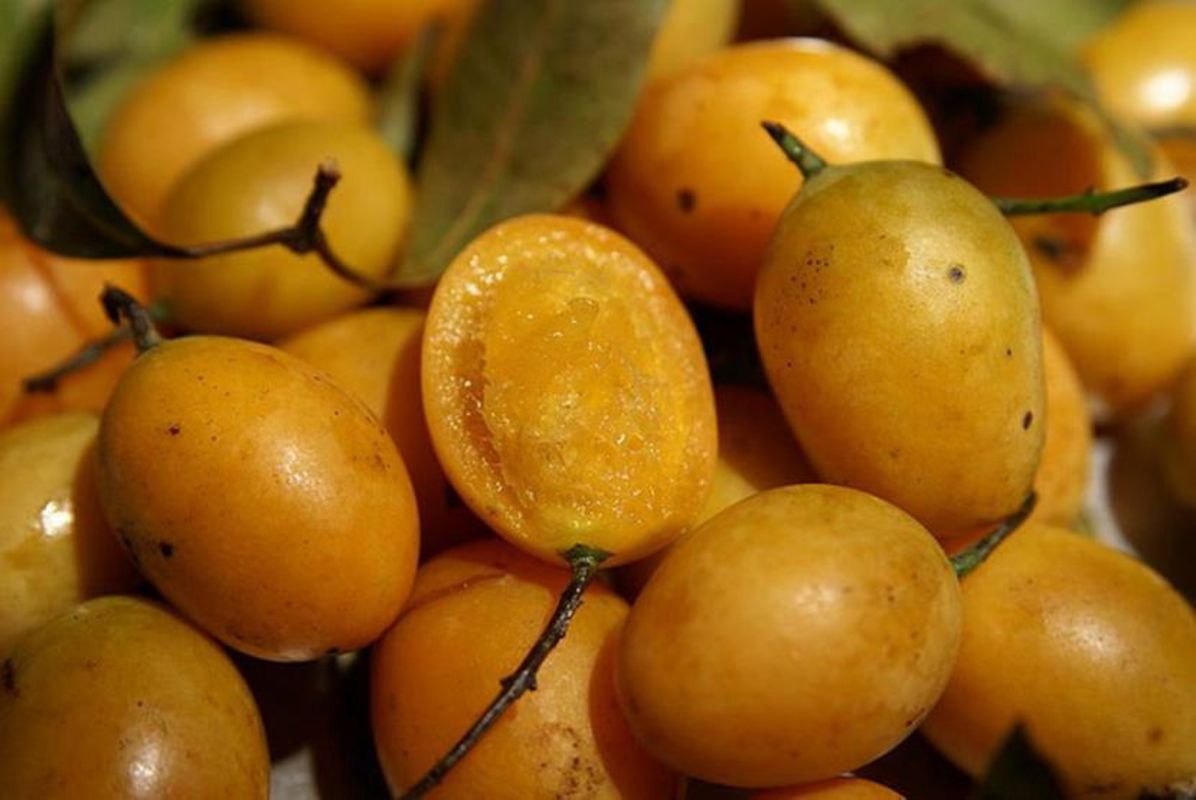 Capture the tangy-sweet essence of Vinh Long’s culinary gem