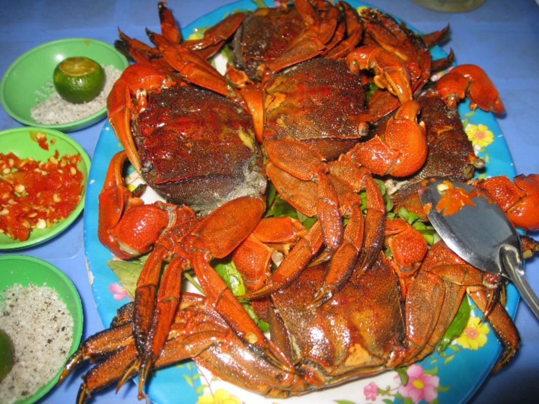 Dive into the vibrant taste of Ca Mau Travel