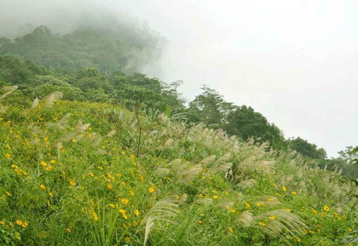 Begin your Hanoi Tours with a scenic adventure