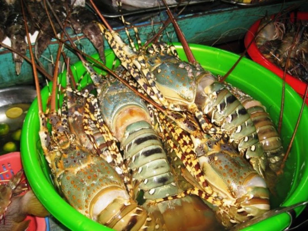 Capture the vibrant flavors of Phu Quoc’s culinary gem