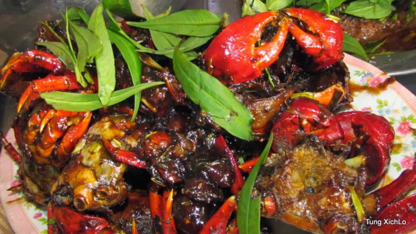 Learn Ca Mau’s coastal heritage with expert insights