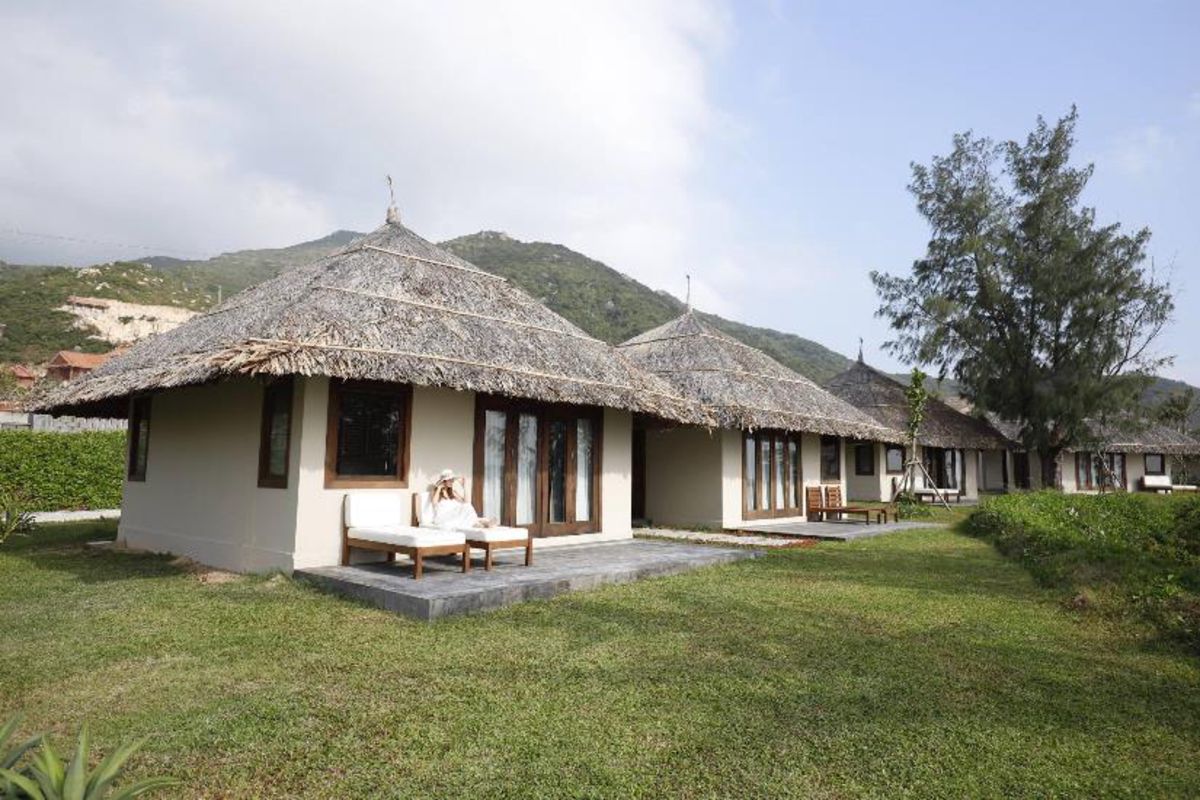 Dive into the green charm of Quy Nhon Travel