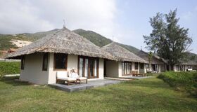 Dive into the green charm of Quy Nhon Travel