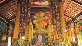 Dive into the natural charm of Vinh Long Travel
