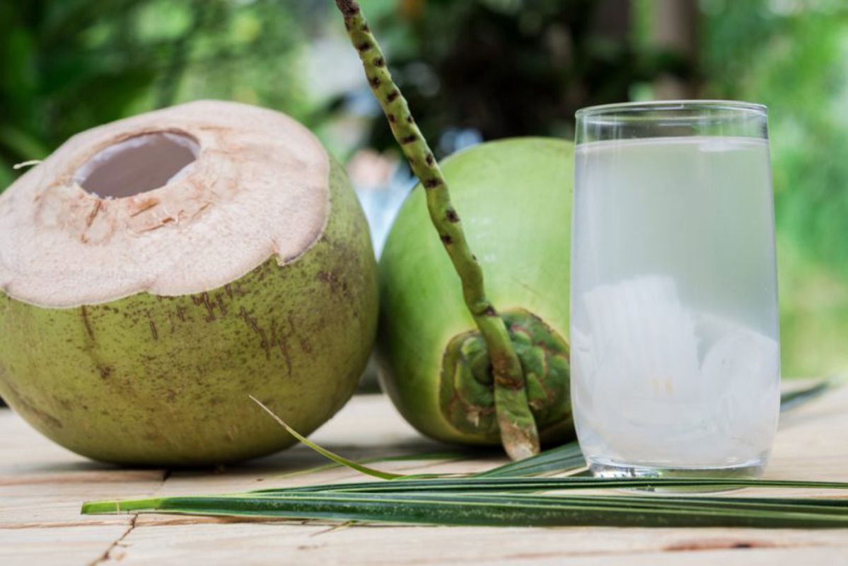 Capture the tropical essence of Ben Tre’s culinary gem