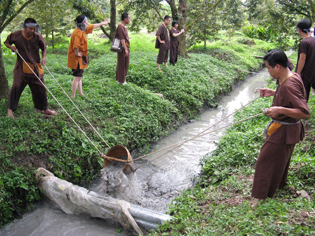 Experience Hau Giang Tours with sustainable immersion