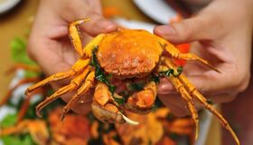 Dive into the vibrant flavors of Hung Yen Travel