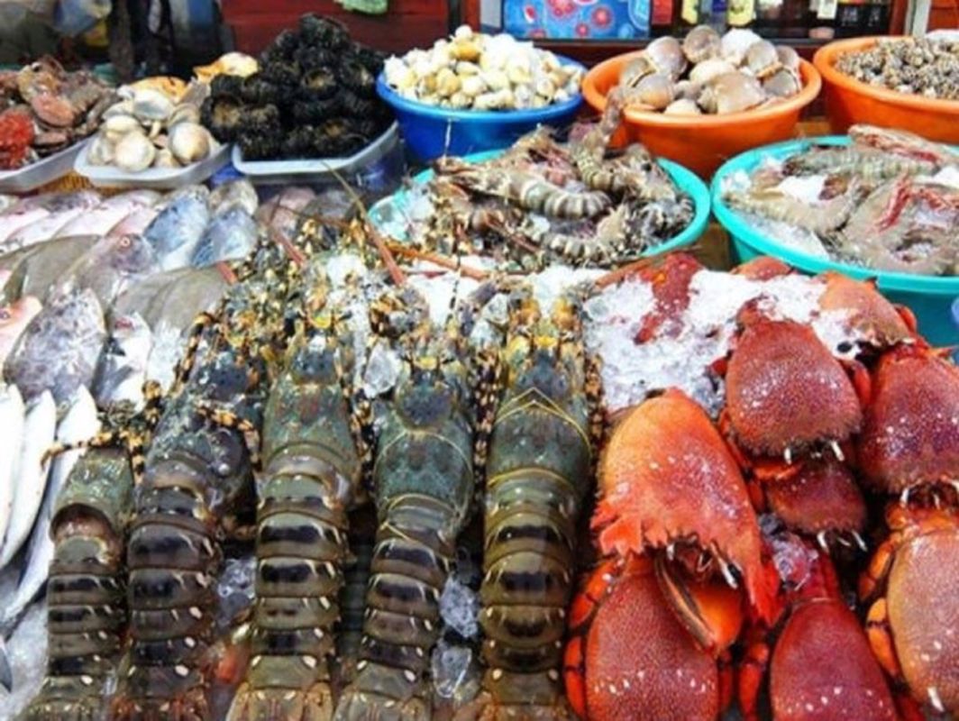 Experience Con Dao Tours with sustainable adventures