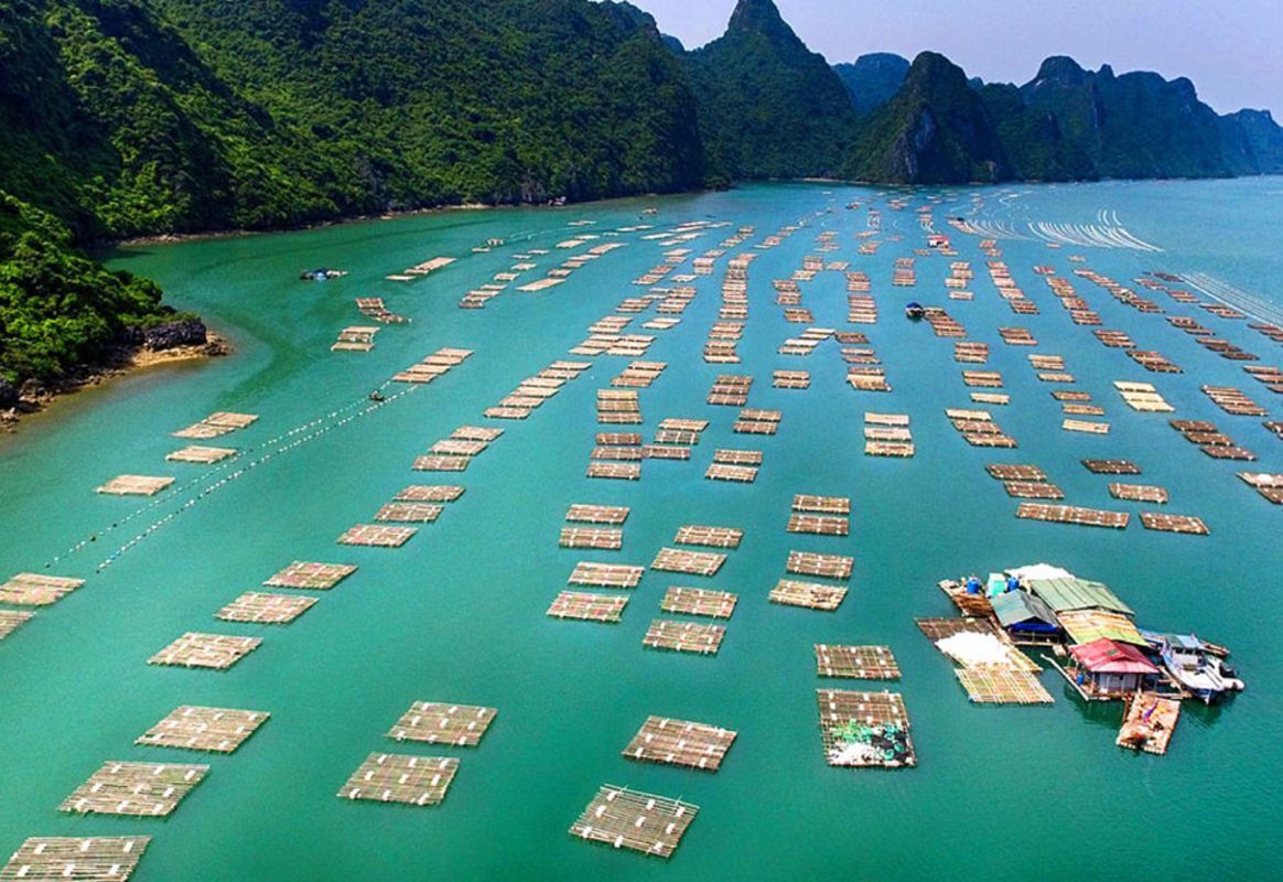 Start your Cat Ba Island with serene beauty