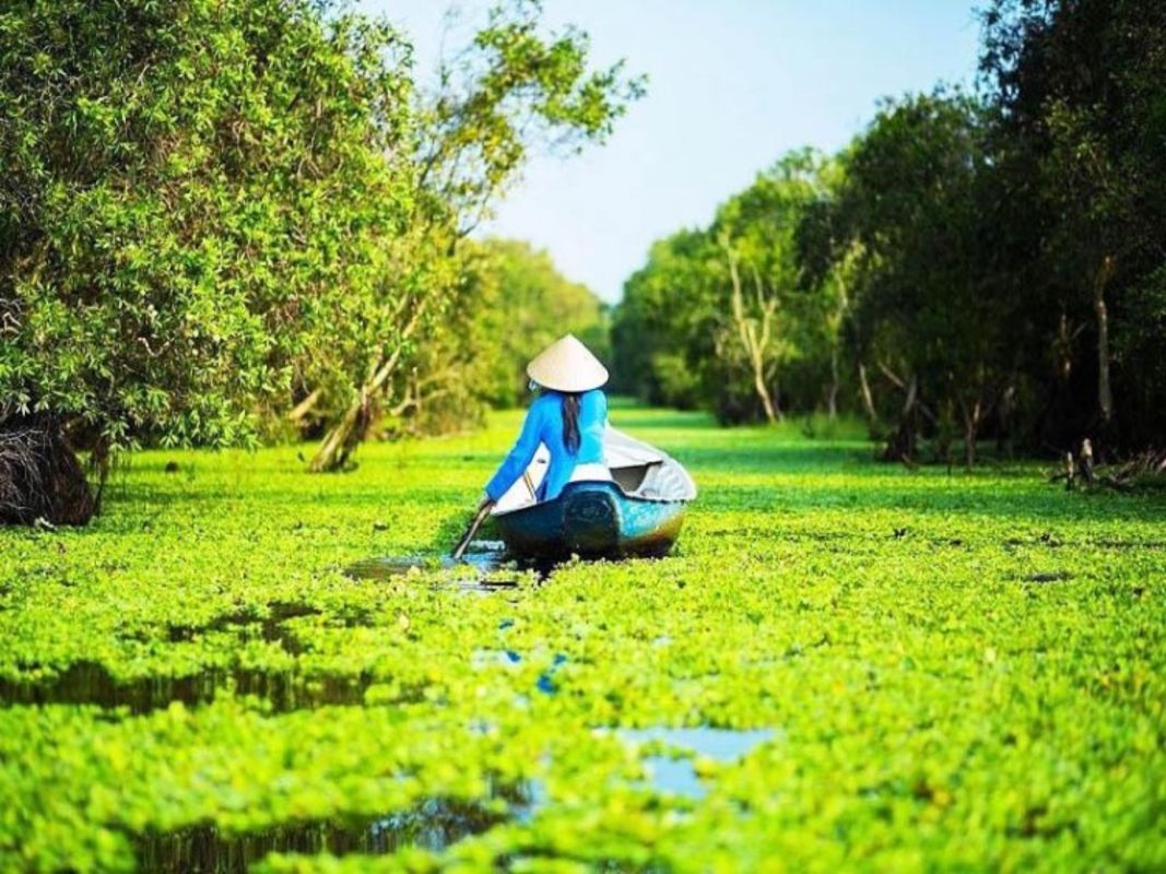 Capture the serene essence of Dong Thap’s ecological gem
