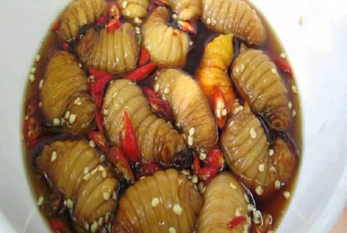 Dare to eat Cha La Worms - Đuông Chà Là?