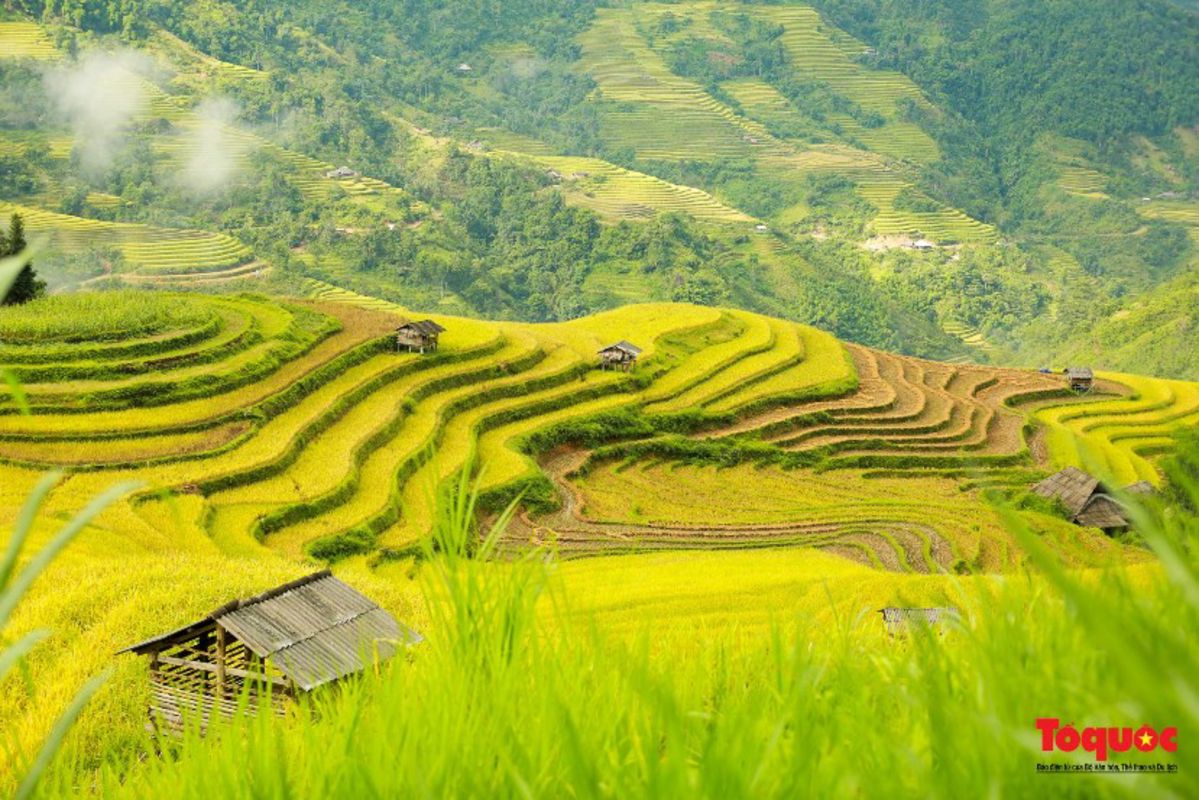 Capture the vibrant beauty of Ha Giang’s cultural gem