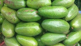 Capture the rich flavor of Da Lat’s culinary gem