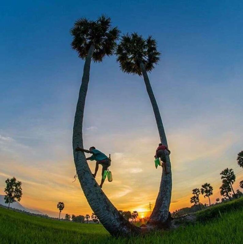 Capture the authentic charm of An Giang’s eco-tourism