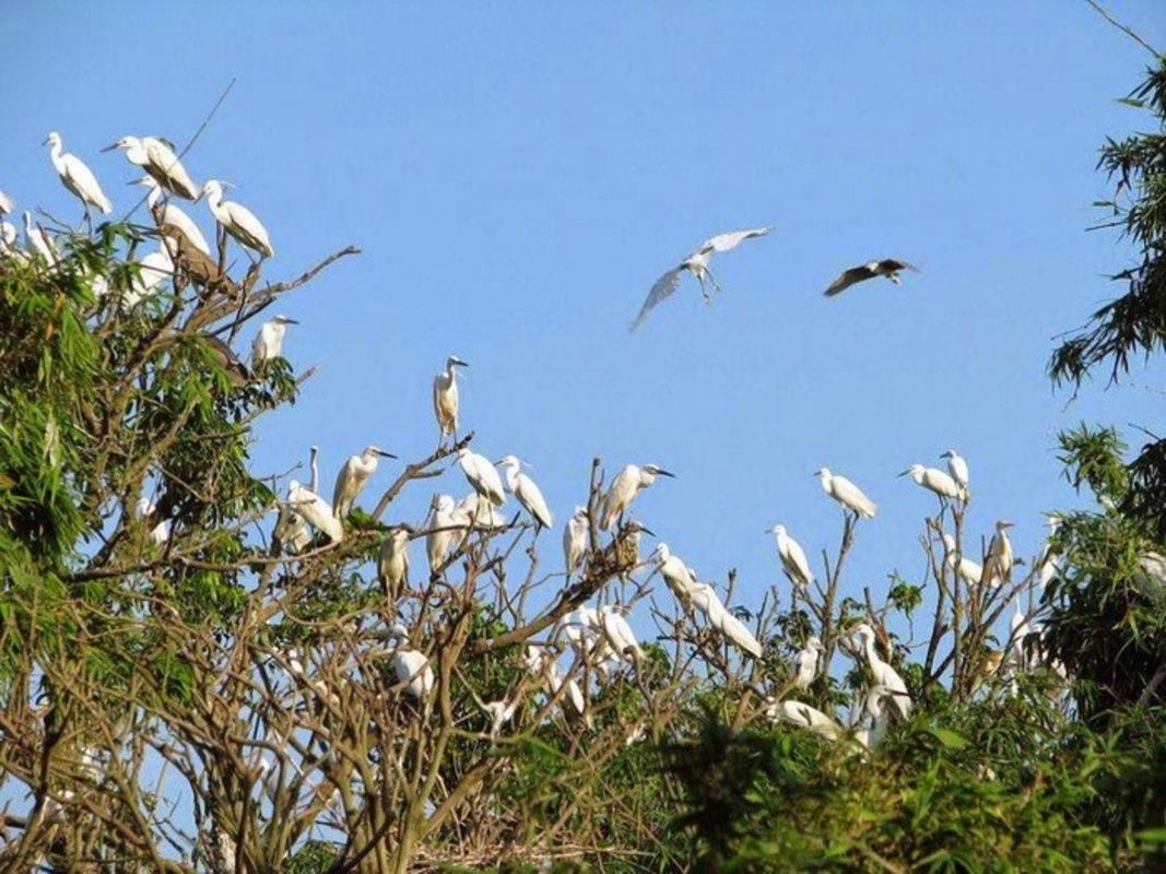 Tu Na Bird garden