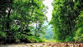Dive into the tranquil charm of Hanoi Travel