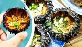 Capture the briny essence of Phu Quoc’s culinary gem