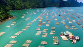 Start your Cat Ba Island with serene beauty
