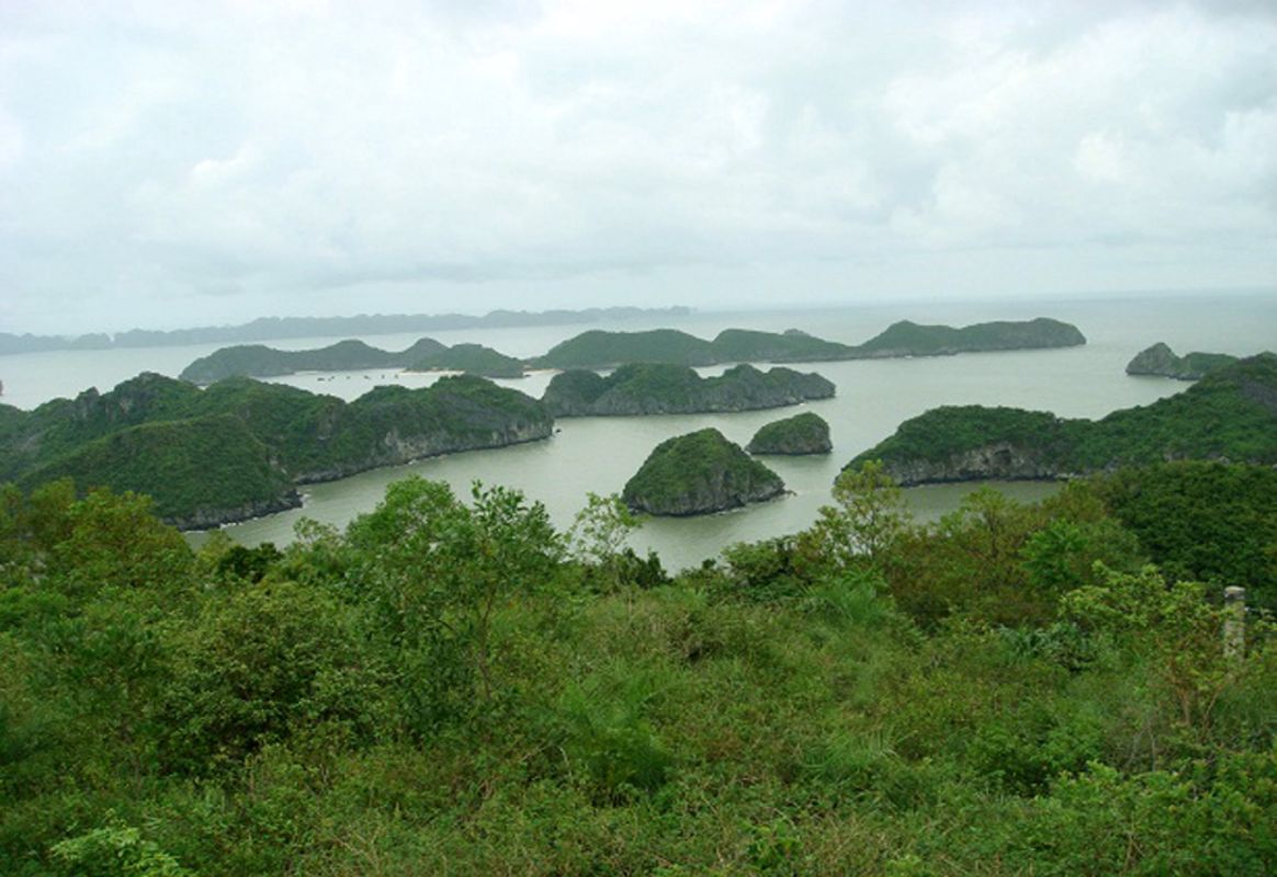 Experience Cat Ba Tours with sustainable adventures