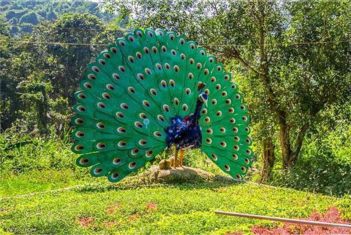 Capture the colorful allure of Khanh Hoa’s eco-haven