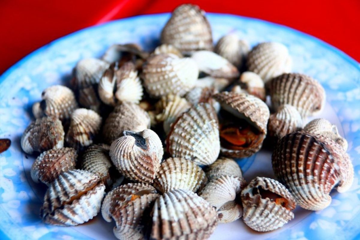 The cockles in O Loan lagoon "Sò huyết" - Capture the briny essence of Dak Lak’s coastal gem