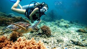 Start your Phu Quoc Travel with tranquil vibes