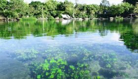 Explore the lake on fun water activities