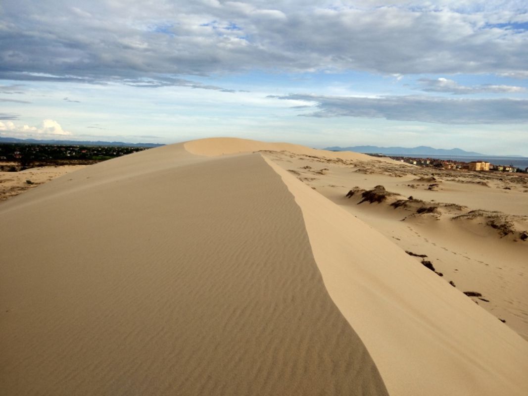 Capture the dynamic beauty of Phong Nha’s desert oasis