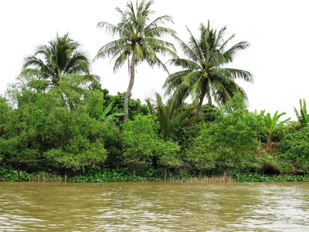 Start your Dong Thap Travel with tranquil vibes