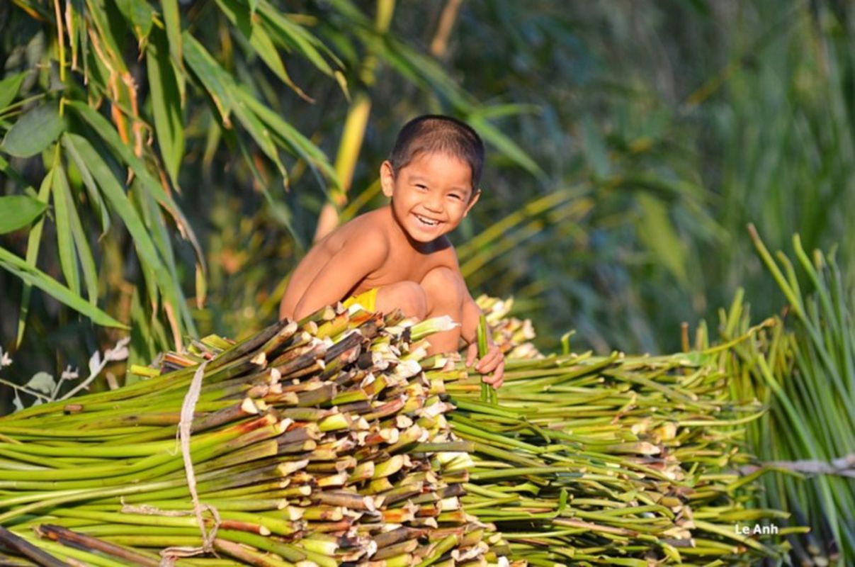 Capture the lively essence of Vinh Long’s riverine gem