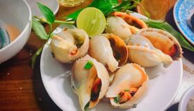 Dive into the vibrant charm of Ho Chi Minh City Travel
