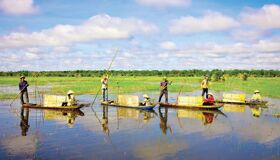 Dive into the tranquil charm of Hau Giang Travel