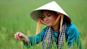 Start your Vinh Long Travel with serene vistas