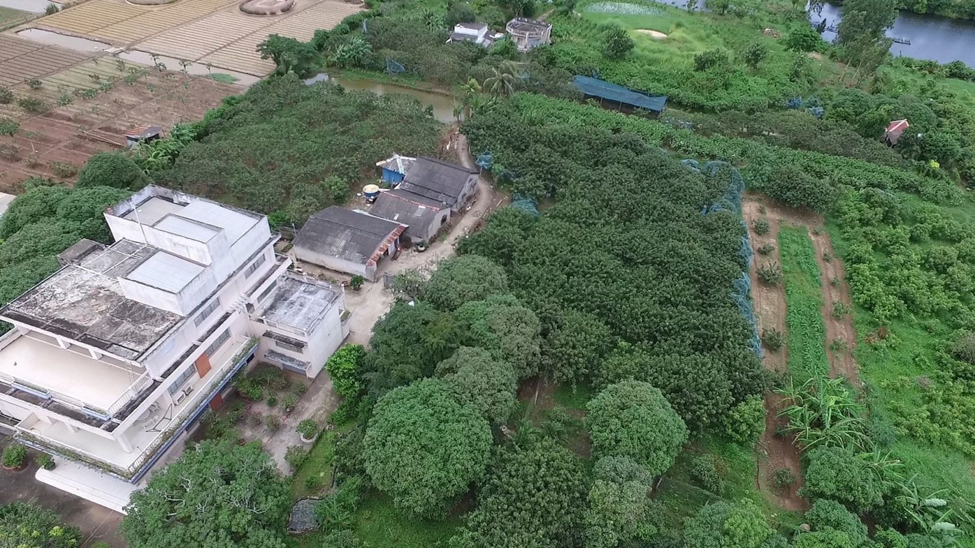 Learn Ca Mau’s heritage with expert insights