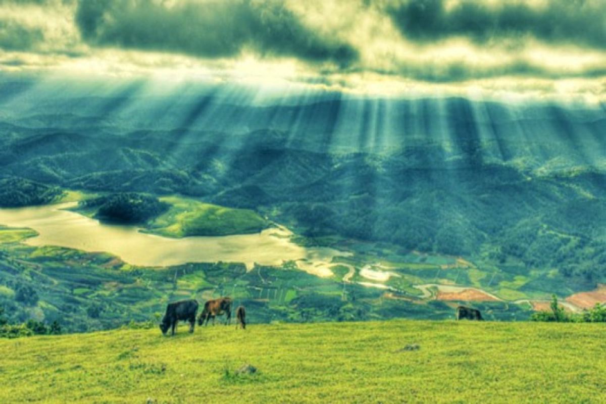 Capture the majestic beauty of Langbiang’s natural gem