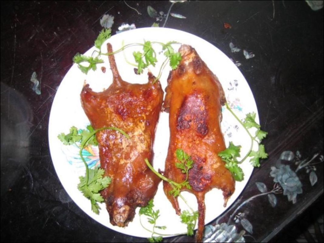Dong Thap Rat Meat