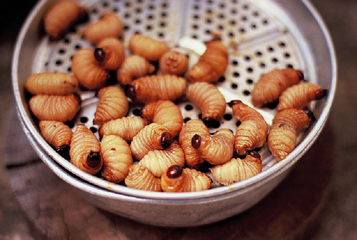 Capture the daring flavors of Bac Lieu’s culinary gem