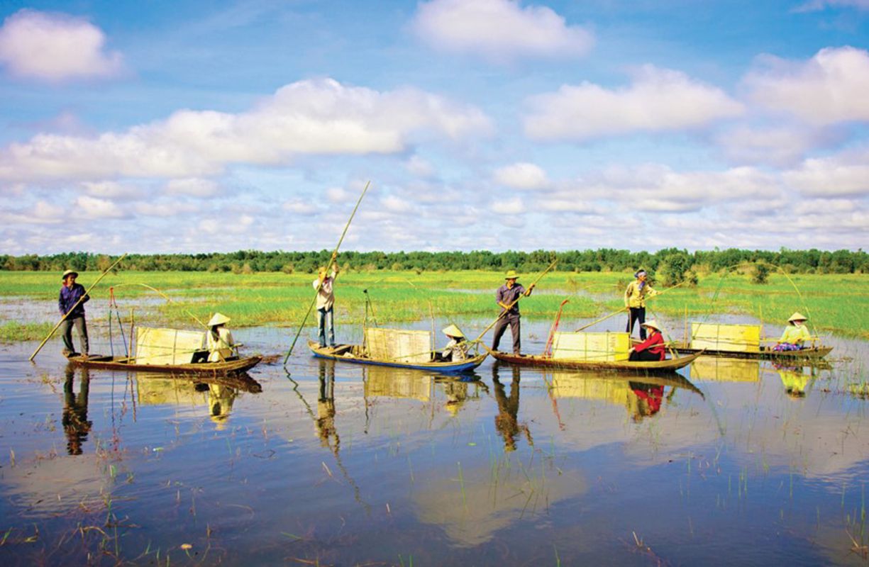 Capture the vibrant essence of Hau Giang’s Delta gem