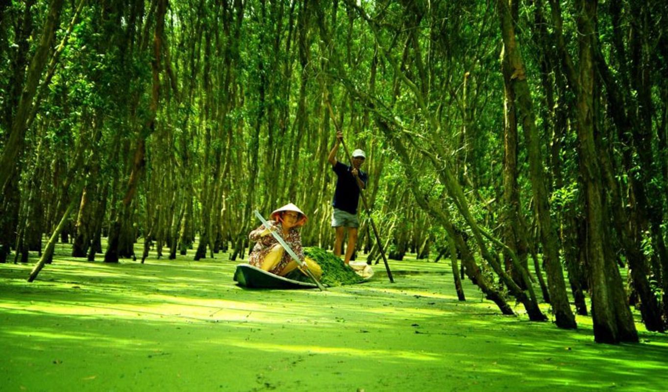 Learn An Giang’s heritage with expert insights