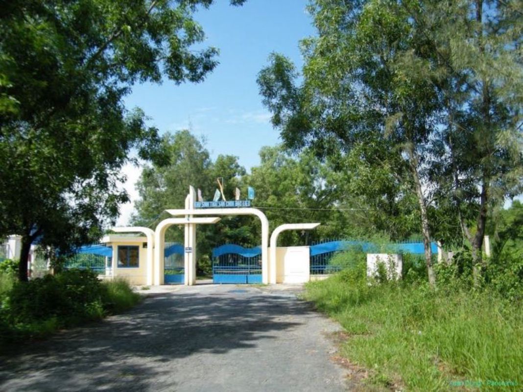 Dive into the serene charm of Ca Mau Travel