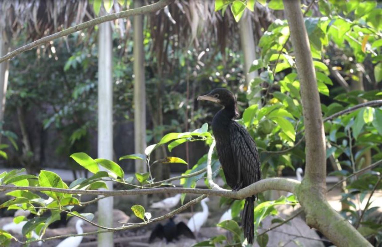 Capture the vibrant essence of Ca Mau’s eco-gem