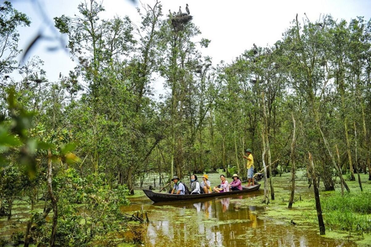 Photograph the vibrant allure of Dong Thap’s nature