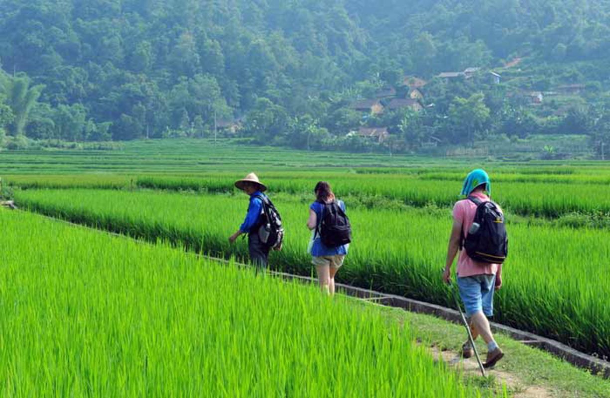 Experience Mai Chau Tours with sustainable adventures